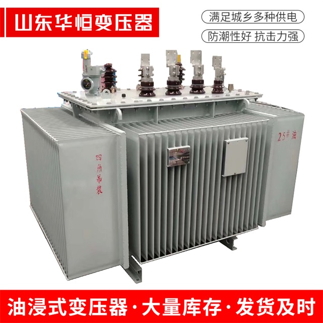 S13-10000/35平果平果平果电力变压器厂家