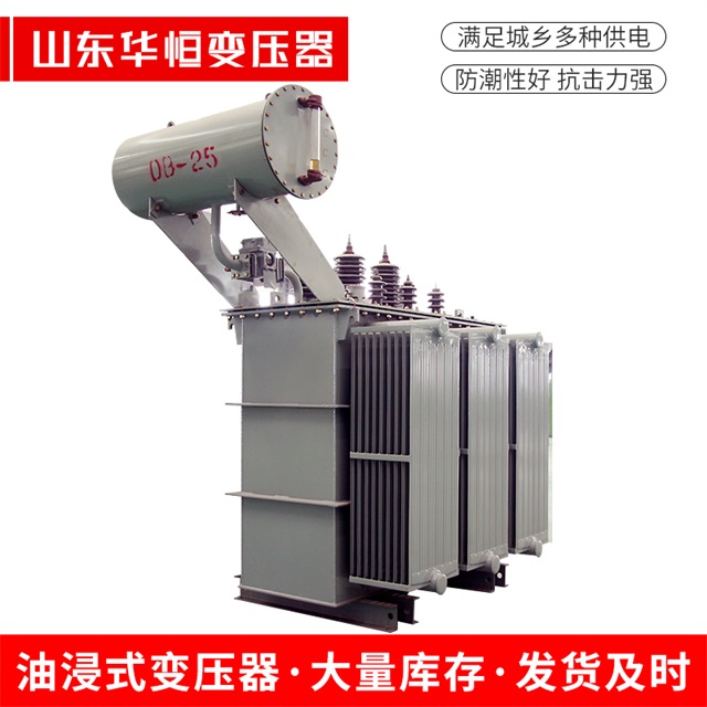 S11-10000/35平果平果平果电力变压器厂家