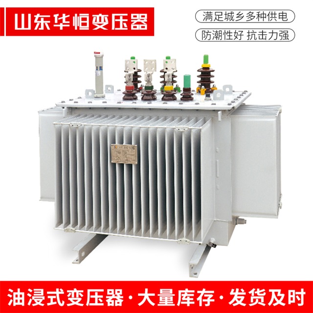 S13-10000/35平果平果平果电力变压器